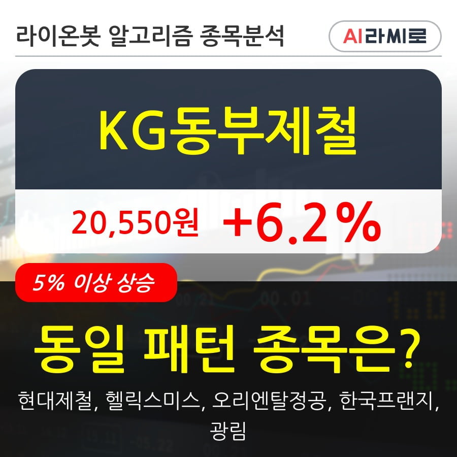 KG동부제철