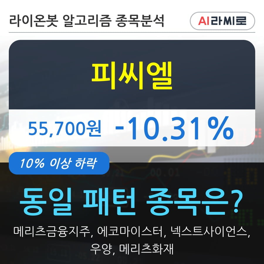 피씨엘