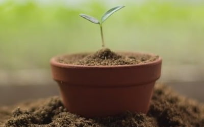 [고두현의 아침 시편] 가려운 데 말고 엉뚱한 데를 긁는 사람