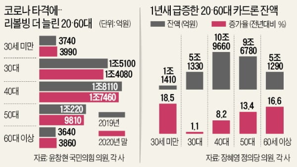 빚투 20대, 생활苦 60대 "일단 쓰고 본다"…리볼빙·카드론 역대급