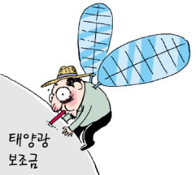 [단독] '태양광 보조금' 年 3000만원씩 벌어간 가짜 농부들