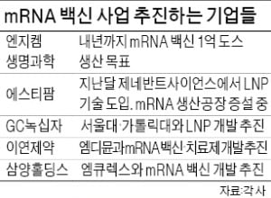 엔지켐생명과학, mRNA 백신 원료 위탁생산