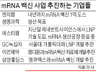 엔지켐생명과학, mRNA 백신 원료 위탁생산