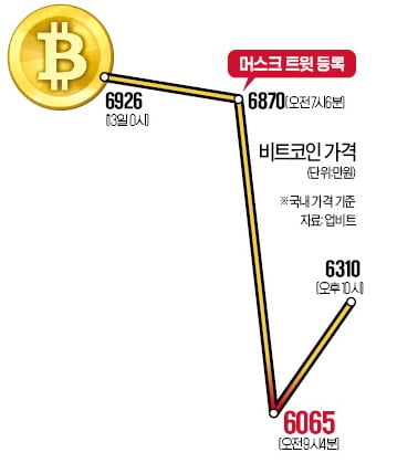 머스크의 배신…비트코인 폭락