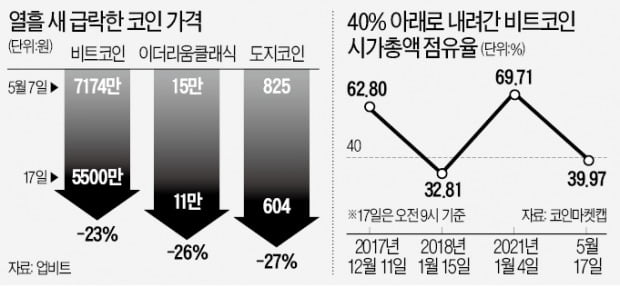 머스크의 말장난…암호화폐 무너졌다