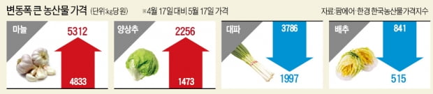 일손 부족…마늘값 3배·양상추 2배 올랐다