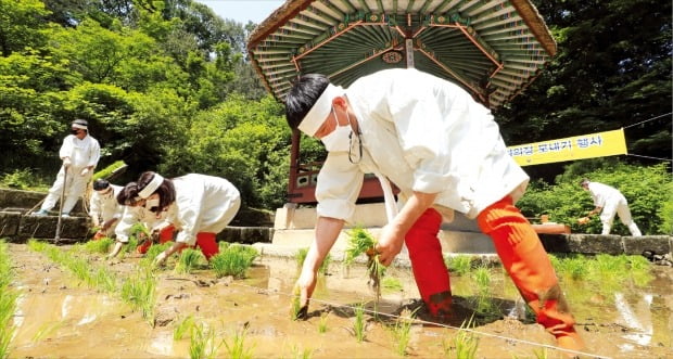 [포토] 풍년을 기원하며