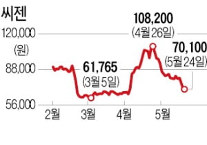 '신사업 안보이네'…씨젠, 한달새 35% 하락