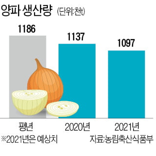 정부 "金양파 우려" vs 팜에어한경 "안정될 듯"