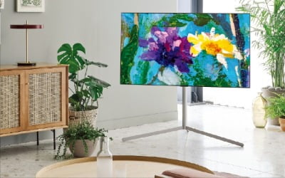 LG "비싸도 잘 팔린다"…OLED TV 출하량 최대
