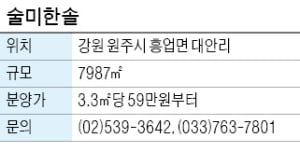 술미한솔, 계곡형 저수지 품은 전원주택용 부지