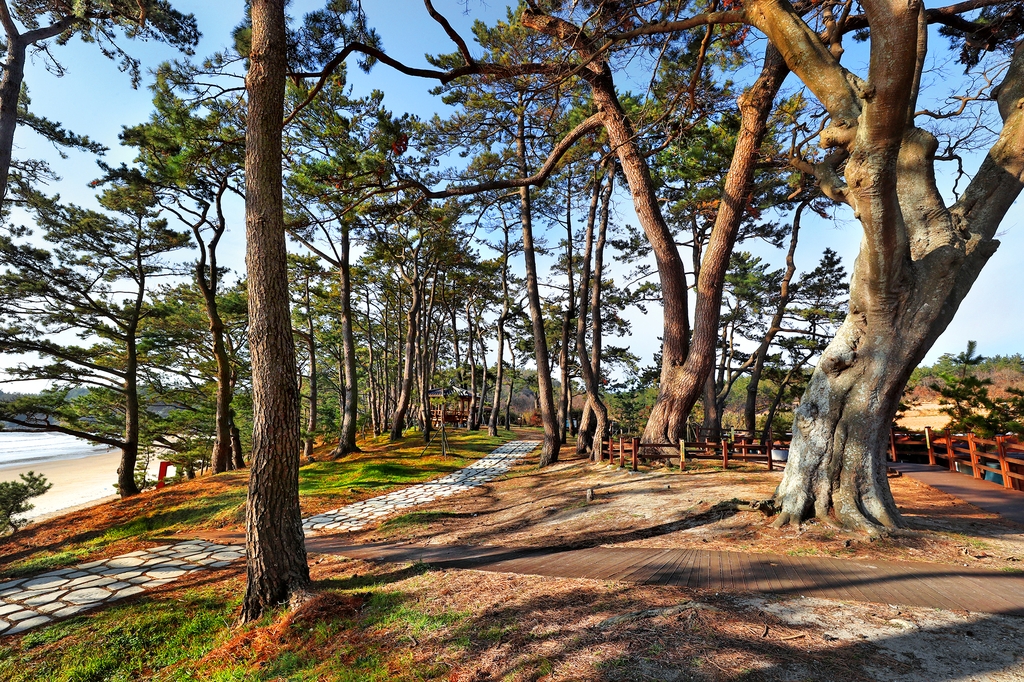 [영화 속 그곳] 자산(玆山)과 흑산(黑山)