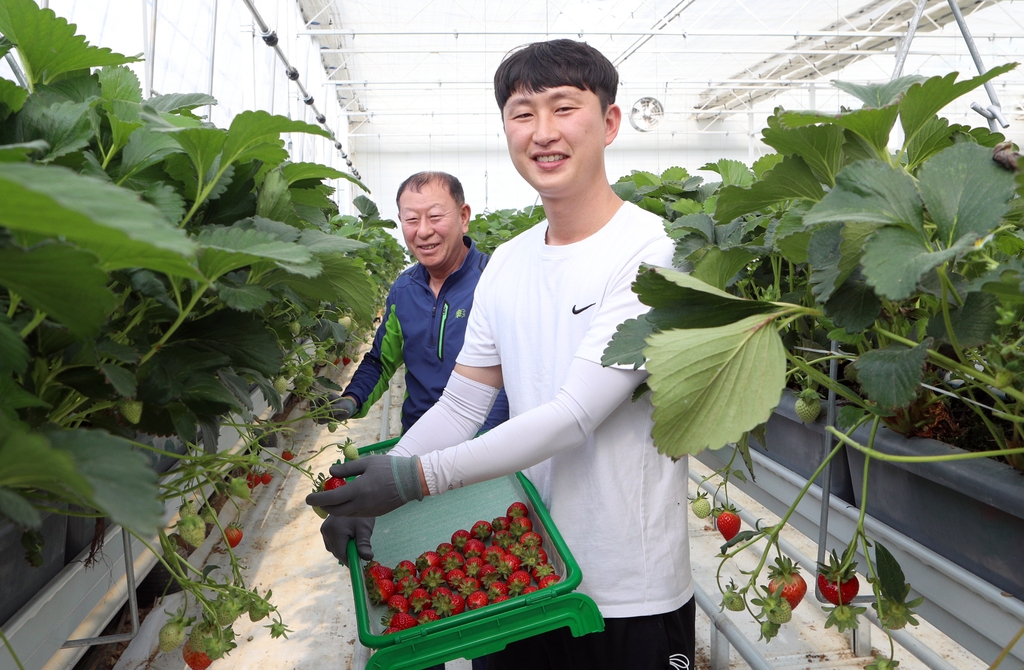 [귀농귀촌] ① 스마트팜 딸기로 귀농 1년 만에 자립 앞둔 강정구씨