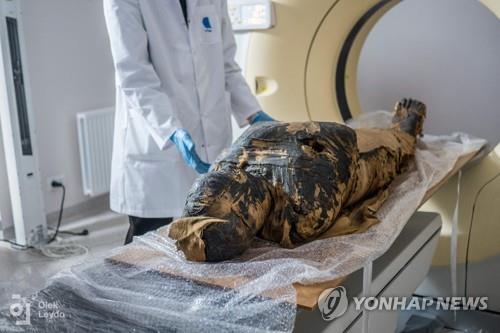 "임신부 미라 처음 아냐" 이집트 저명학자, 폴란드 연구진 반박