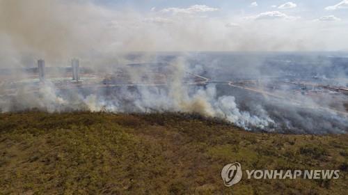 '믿었던 아마존의 배신'…지난 10년간 CO₂ 배출량]흡수량