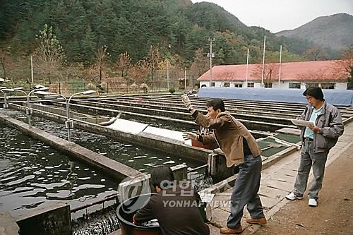 '강제 줄폐업' 내수면 가두리양식업 30년만에 보상절차 시작