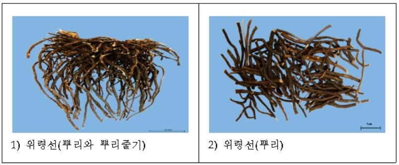 식약처, 이물 혼입 한약재 '위령선' 3개 품목 회수