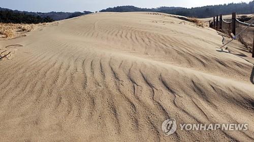 태안 신두리 해안사구 체계적으로 정비한다…3단계 나눠 추진