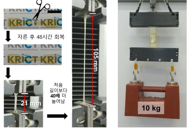 고체·젤리 상태 오가는 '세계 최고 강도' 자가치유 신소재 개발