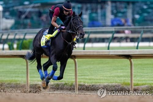 미 켄터키 더비 우승마 약물 양성…타이틀 박탈 위기