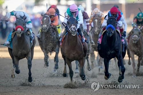 미 켄터키 더비 우승마 약물 양성…타이틀 박탈 위기