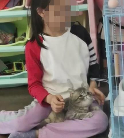 중국서 어린 소녀 돌연 탈모…알고보니 '고양이균' 때문