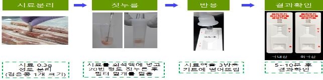 돼지고기 원산지 5분 만에 판별하는 검정키트 개발