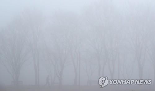 강원 내륙·산지 짙은 안개…"차량 운행 주의"