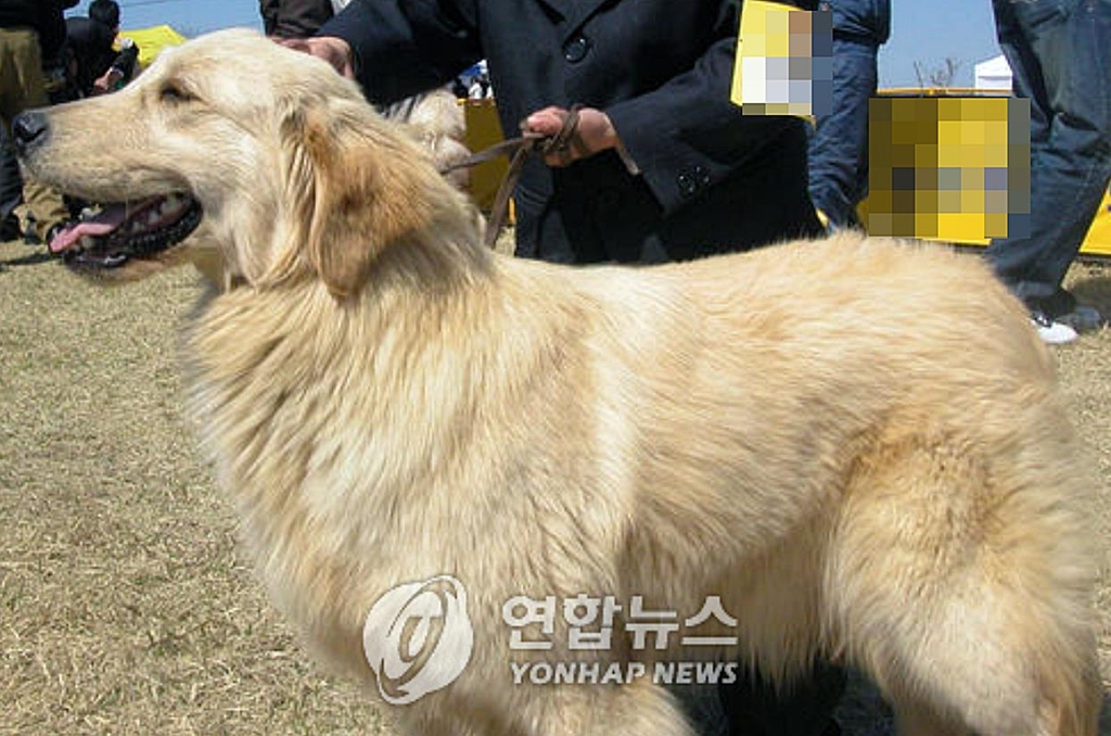 남양주 야산서 50대 여성 대형견에 물려 사망