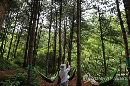 문체부, '치유 관광' 예비 협력지구로 경상북도 선정