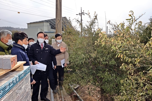 고흥군, 한파 피해 농가에 복구비 36억원 지원