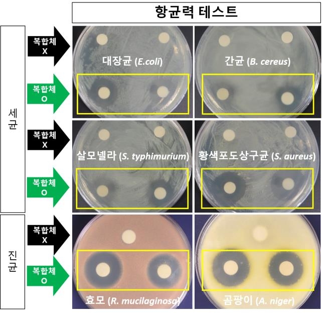 괭생이모자반에서 세균·곰팡이 억제하는 나노복합체 개발