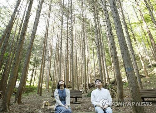 전북도, 내년까지 '농촌 건강 힐링 마을 조성사업' 추진