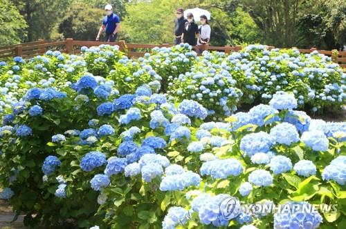 봄 끝자락에 찾아온 초여름…전국 해수욕장·행락지 인파 '북적'