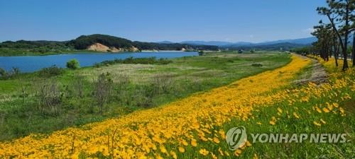 봄 끝자락에 찾아온 초여름…전국 해수욕장·행락지 인파 '북적'