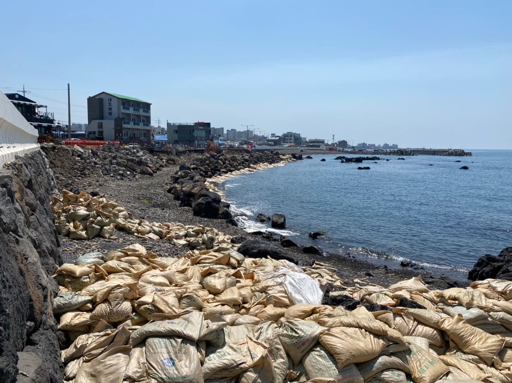 파도칠 때마다 '도로록' 제주 명물 '알작지' 해안 파괴된다