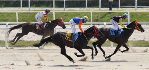 경마·경륜 `온라인 베팅` 추진…"사행산업 확산 우려"[이슈플러스]