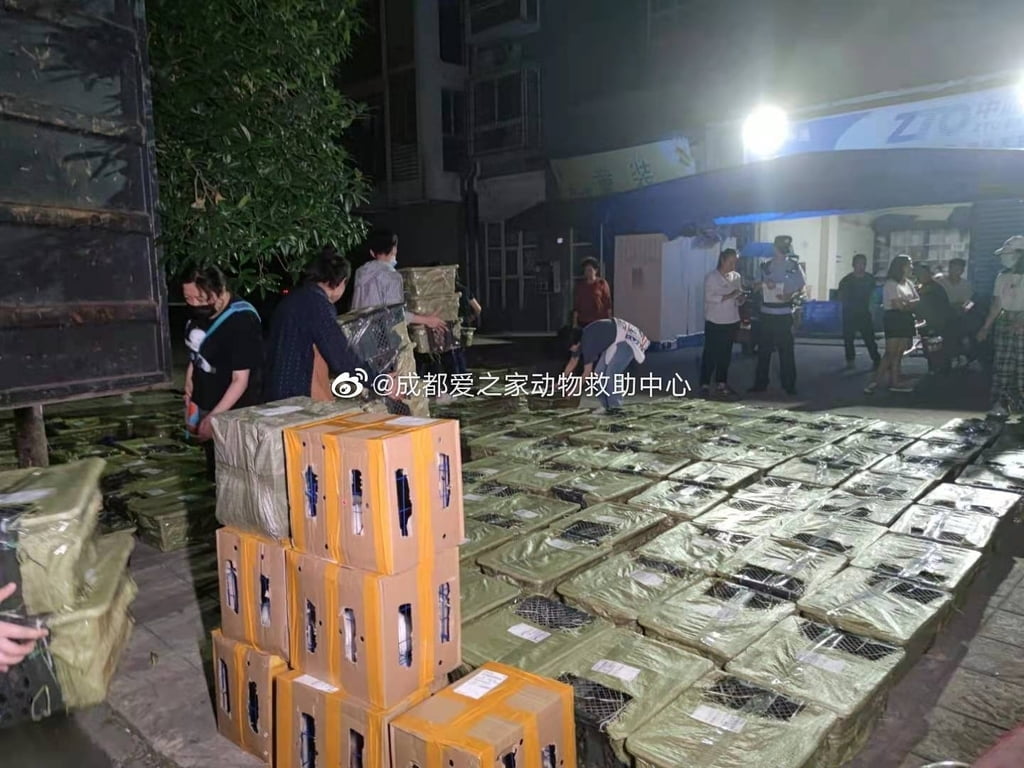 반려동물 산 채로 택배 거래…中 충격의 `랜덤박스`