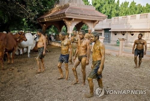 소똥 바르고 요가하는 인도인들…엽기 방역 `경악`