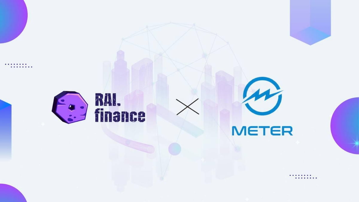 라이 파이낸스(RAI Finance), 미터(Meter)와 파트너십 체결