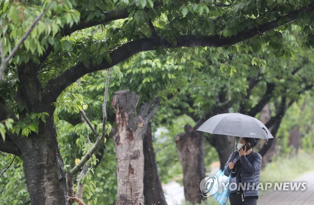 내일 수도권 시간당 30∼50㎜ 폭우…중대본 1단계 가동