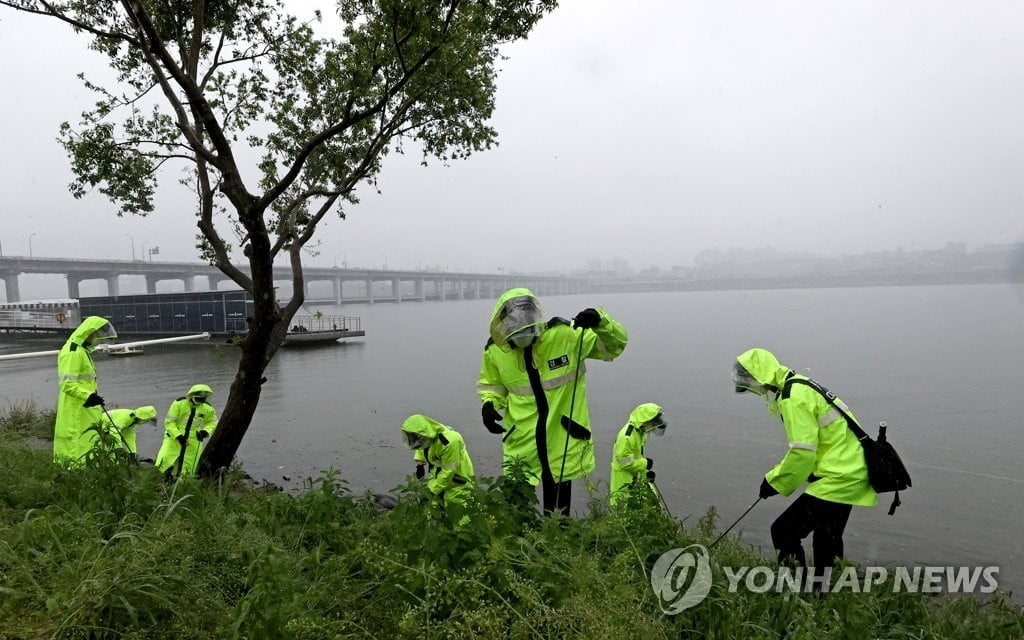 "손정민 실종날 `한강 입수` 본 목격자 있다"