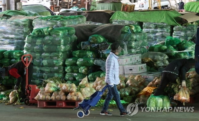 송파구 가락도매시장 14명 집단감염…"샤워실 공동 사용"