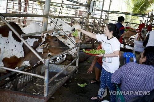 "백신 맞으면 송아지를 경품으로"…태국 접종 장려 캠페인