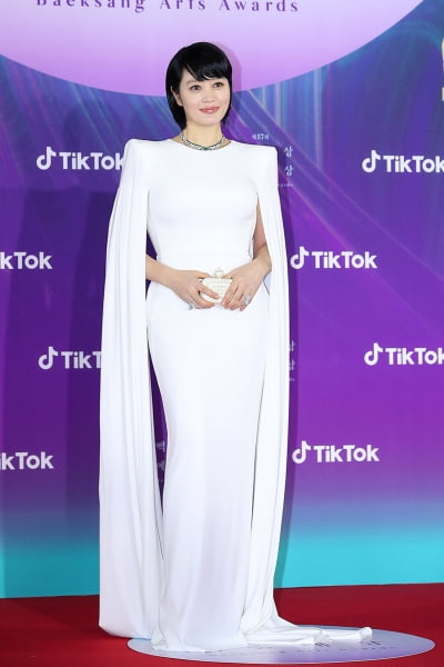 [TEN 포토] 김혜수 '레드카펫의 남다른 아우라'(백상예술대상)