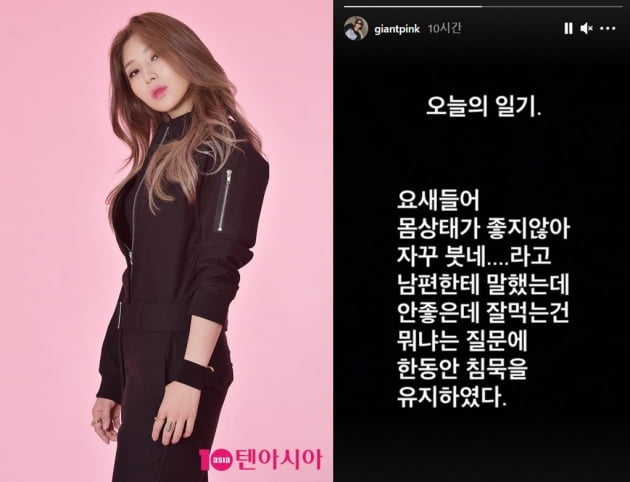 /사진 = 텐아시아 사진DB-자이언트핑크 인스타그램