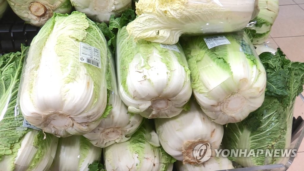 배추 도매가 1∼3월 배로 '껑충'…봄배추 나오며 다시 안정세(종합)