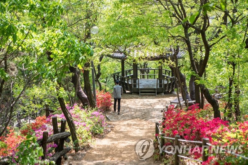 서울 배봉산서 실종됐던 60대 등산객 숨진 채 발견