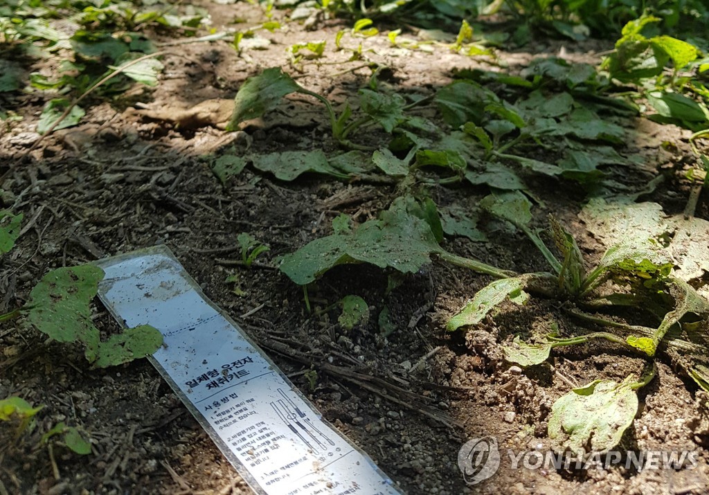 참혹한 '묻지마 살인' 범행에도 "재미없어, 시간 낭비했네"(종합)