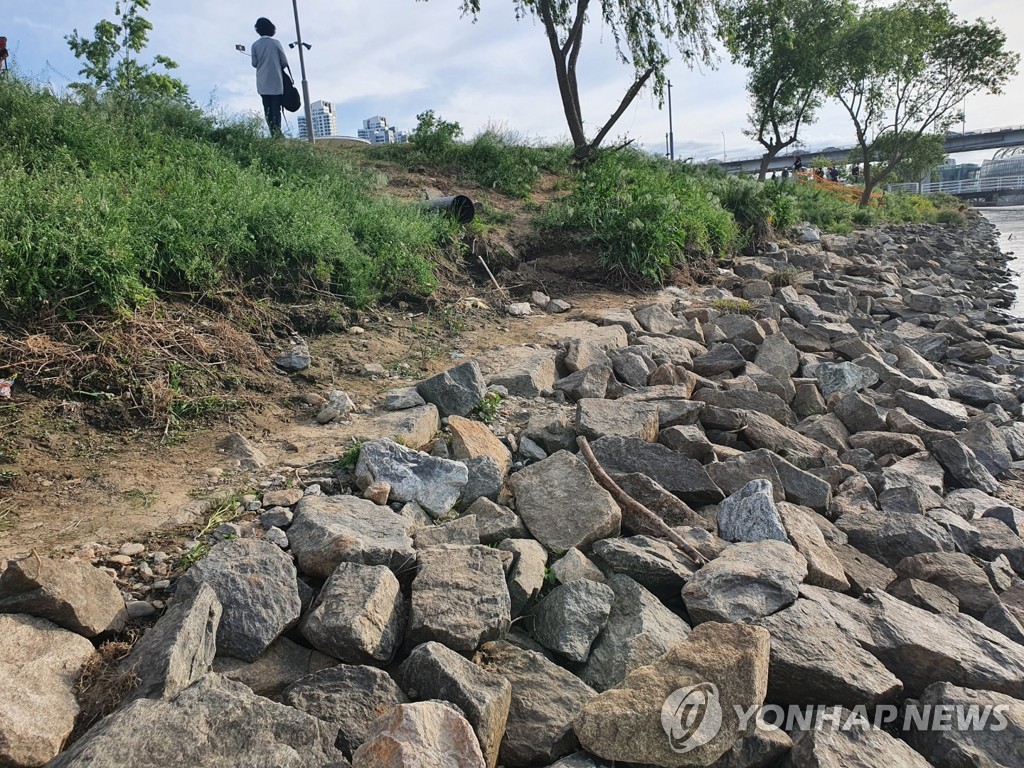 "손정민씨 부검 결과 익사 추정…머리 상처, 사인 아냐"(종합)